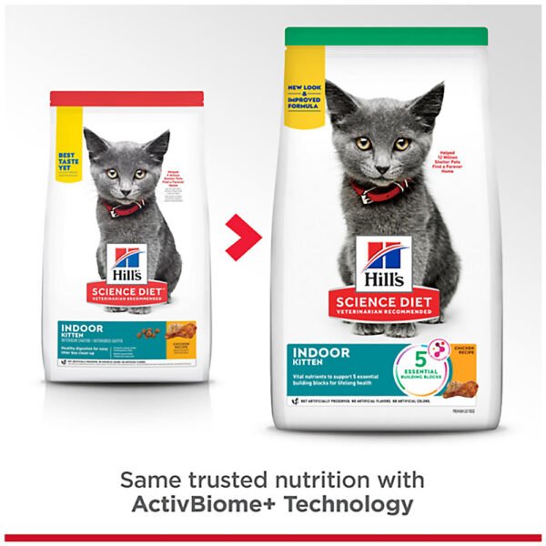 Indoor Kitten Dry Cat Food Chicken 667b53569173a